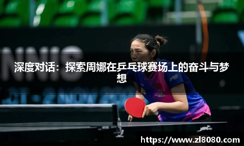 3377体育官网入口